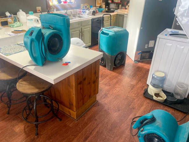 Best Water damage restoration near me  in Great River, NY