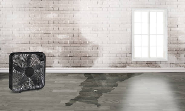 Best Commercial water damage restoration  in Great River, NY