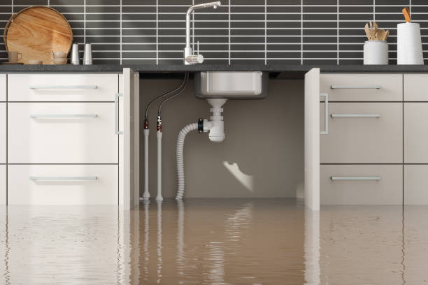 Best Flood damage cleanup  in Great River, NY