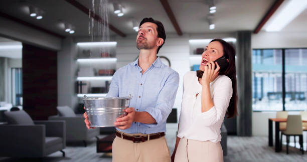 Best Water damage repair service  in Great River, NY